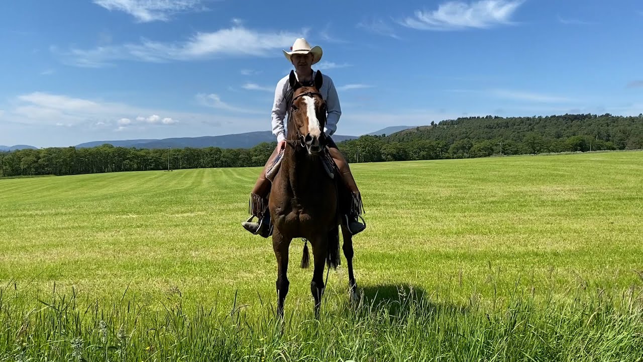 Horseback UK