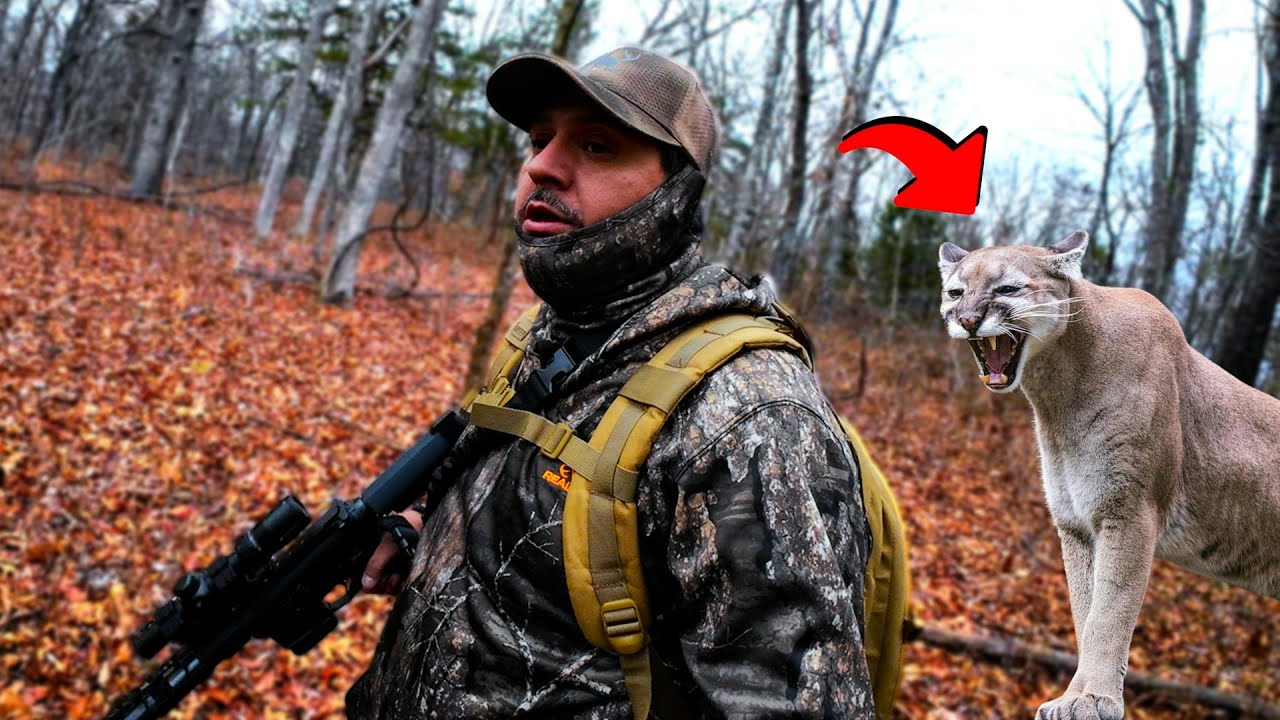 Caceria de VENADO 2024 con rifle (Me ATACO Un PUMA) Hubo DISPAROS!!