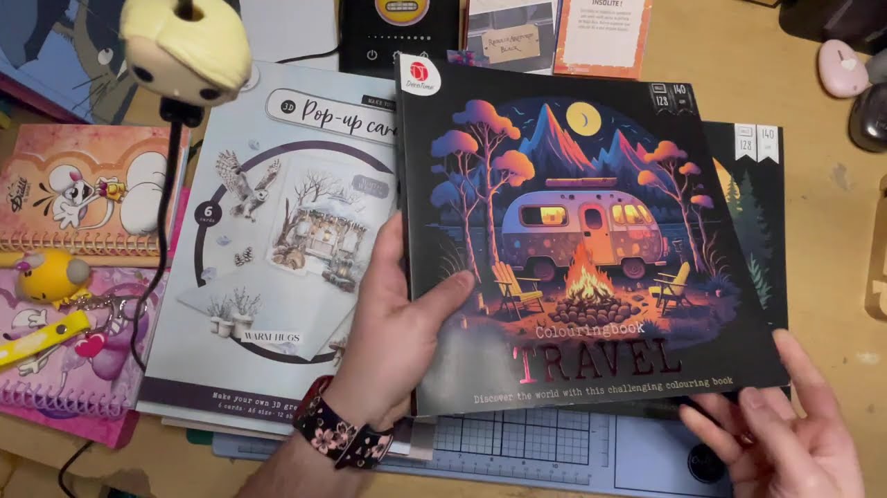 Un haul action et nouveau achat diddl 