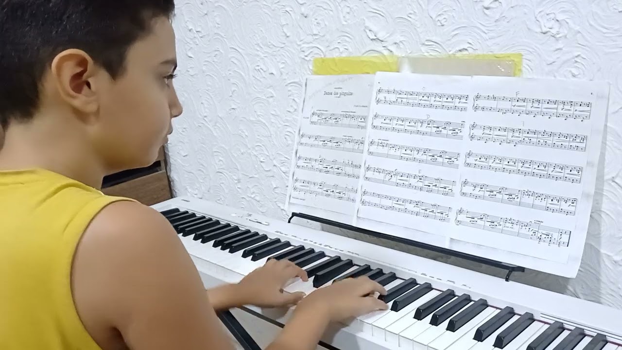 DANÇA DOS PENGUINS (Julio Braga) - Francisco Bonfim (piano)