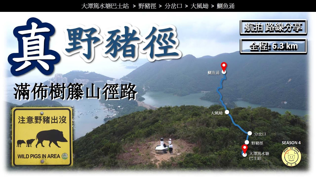 [行山郊遊] 野豬徑 | 路線 - 大潭篤水塘 ➡️ 野豬徑 ➡️ 分岔口 ➡️ 大風坳 ➡️ 鰂魚涌  |  全程6.3公里 | 航拍 | 路線分享