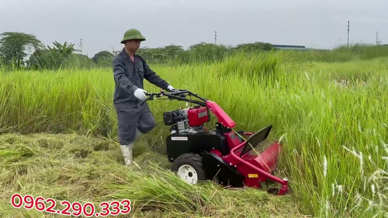 Máy cắt cỏ trục băm chạy dầu diesel  trục băm 70cm