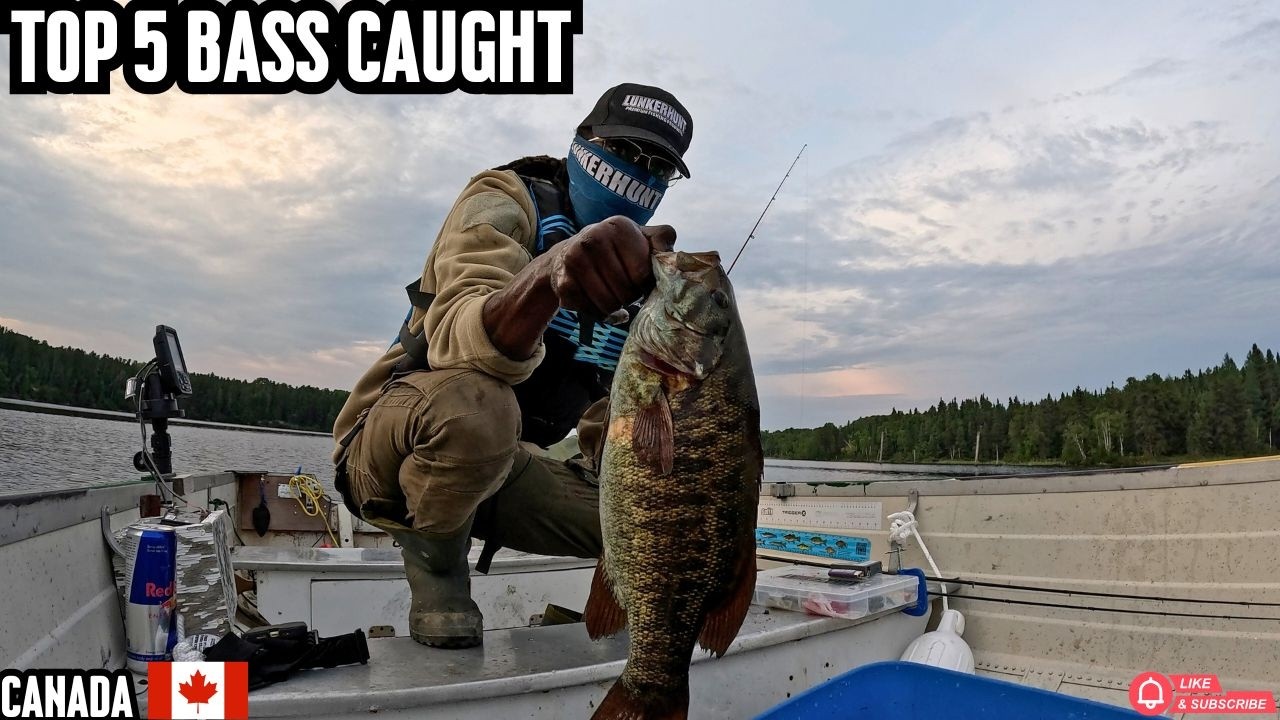 Ontario Canada Insane Smallmouth Bass Fishing Top 5 Catches #bass