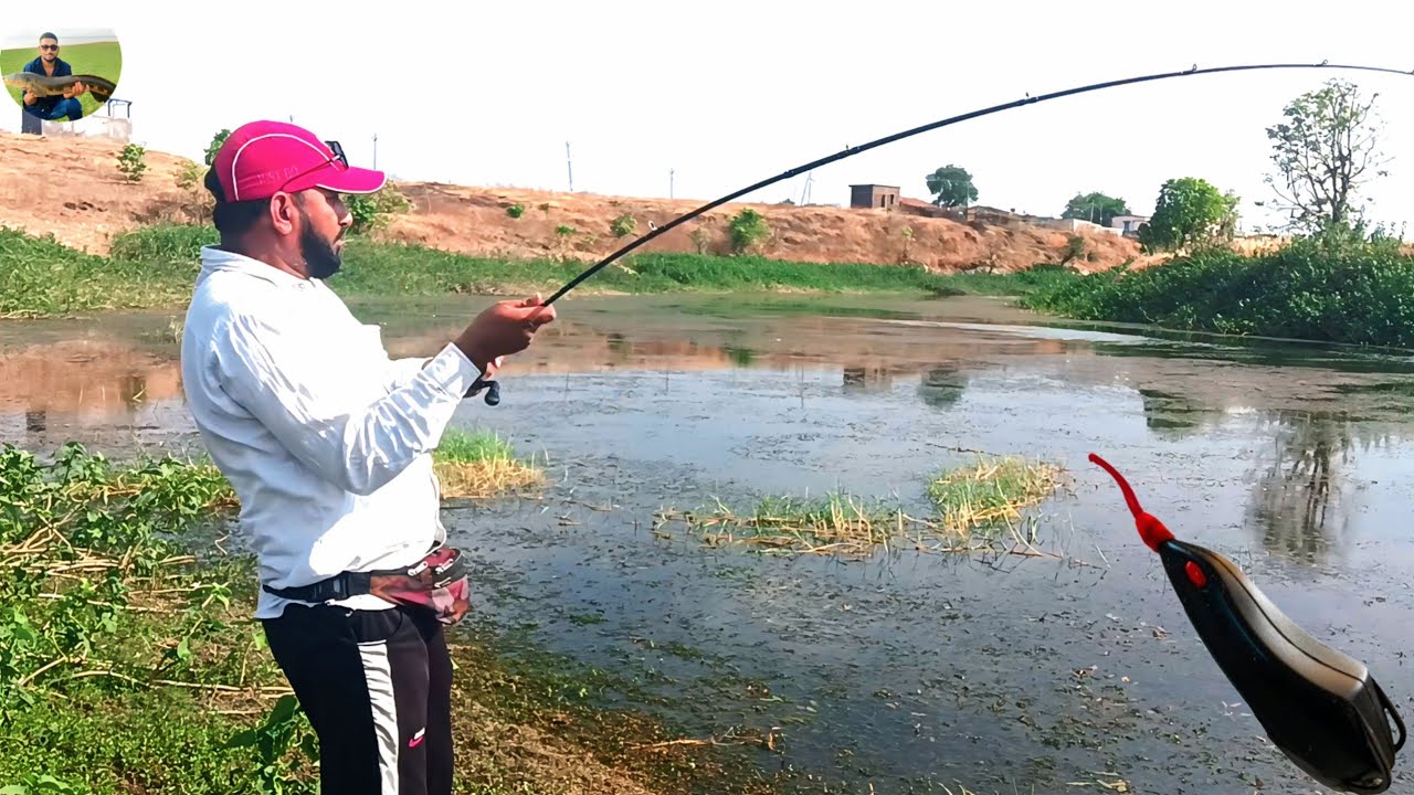 Snakehead Murrel River Fishing 😱 Dushman frog 🐸 se Kiya shikar