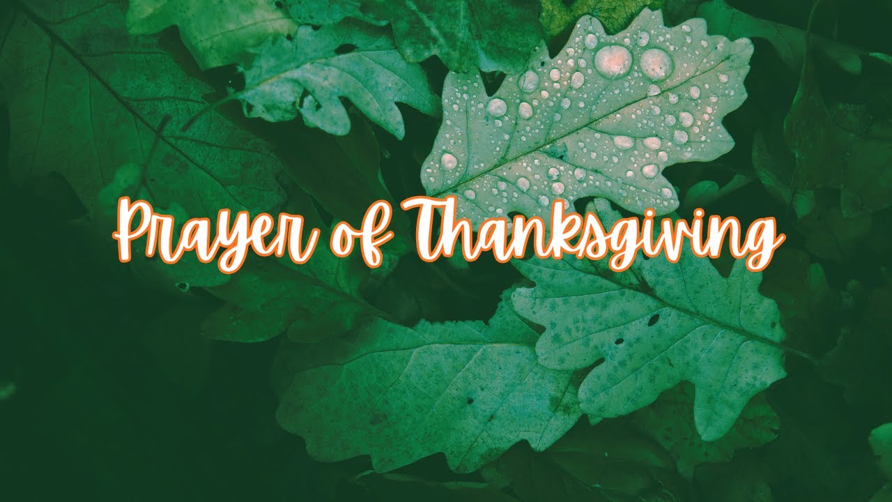 My heart overflows with gratitude for all the blessings You gave!