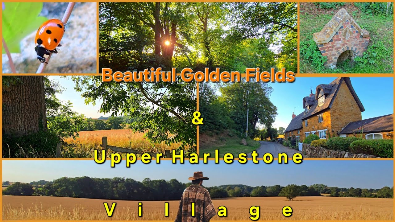 Nobottle Short Circular 2/5 Beautiful Golden Fields & Upper Harlestone Village