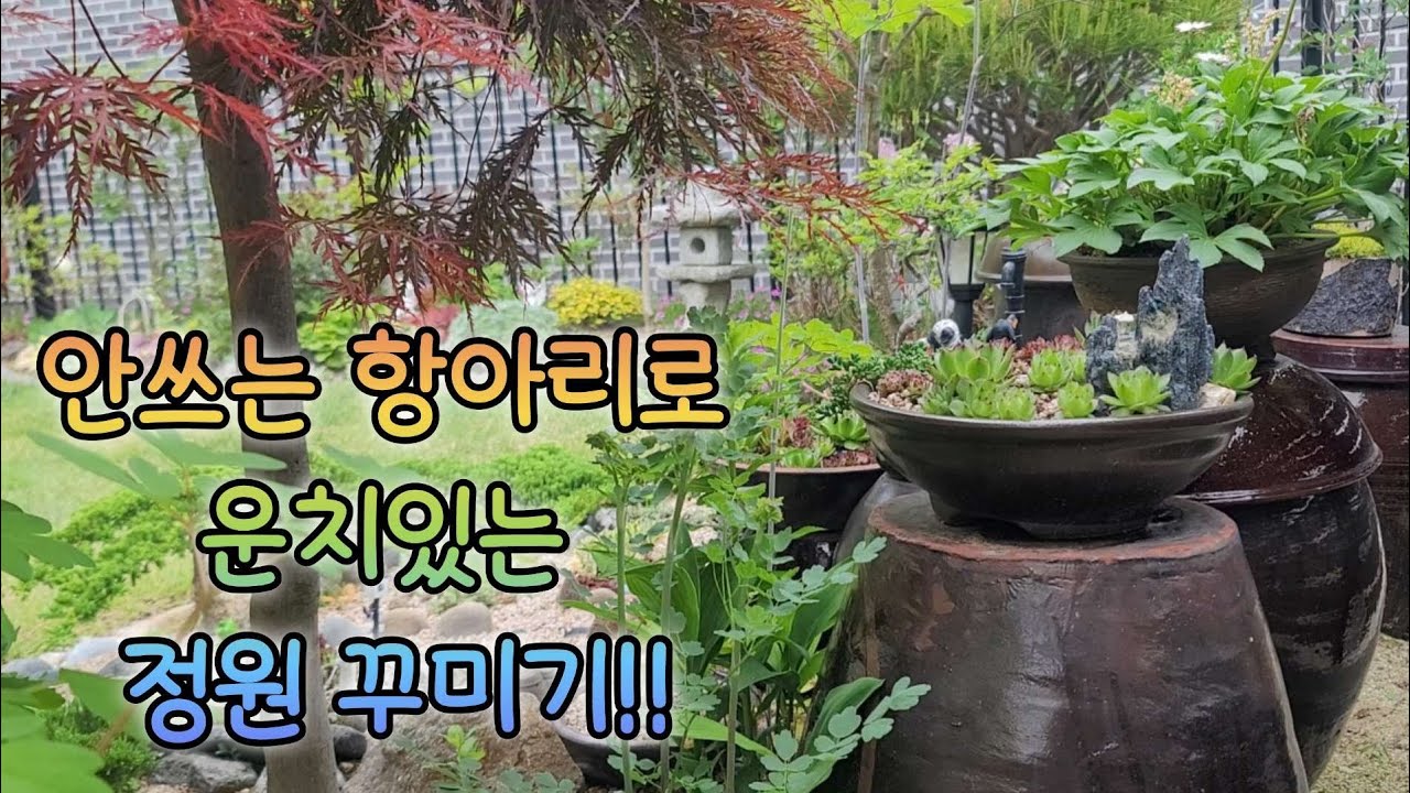 ep69.(정원꾸미기)버려지는 항아리로 꾸며진 운치있는 정원!! /예뻐지는 다년생꽃들  (25.5.20)