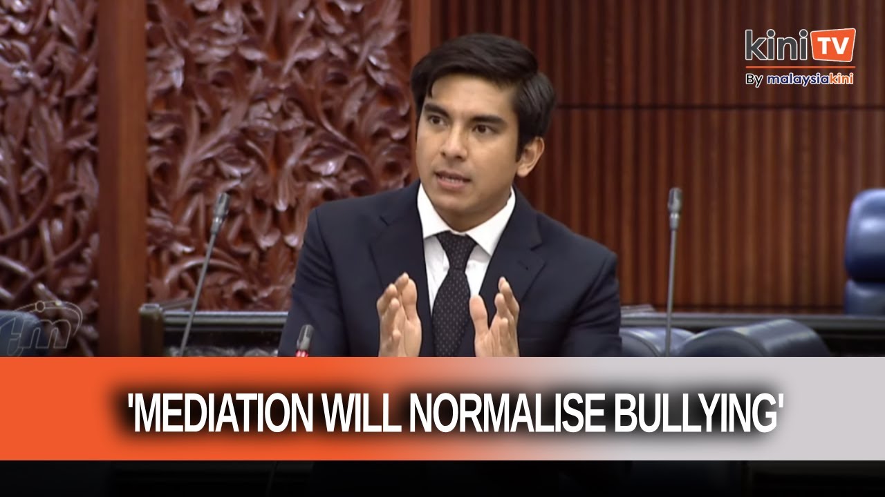 Police should stop trying to mediate bullying cases, says Syed Saddiq