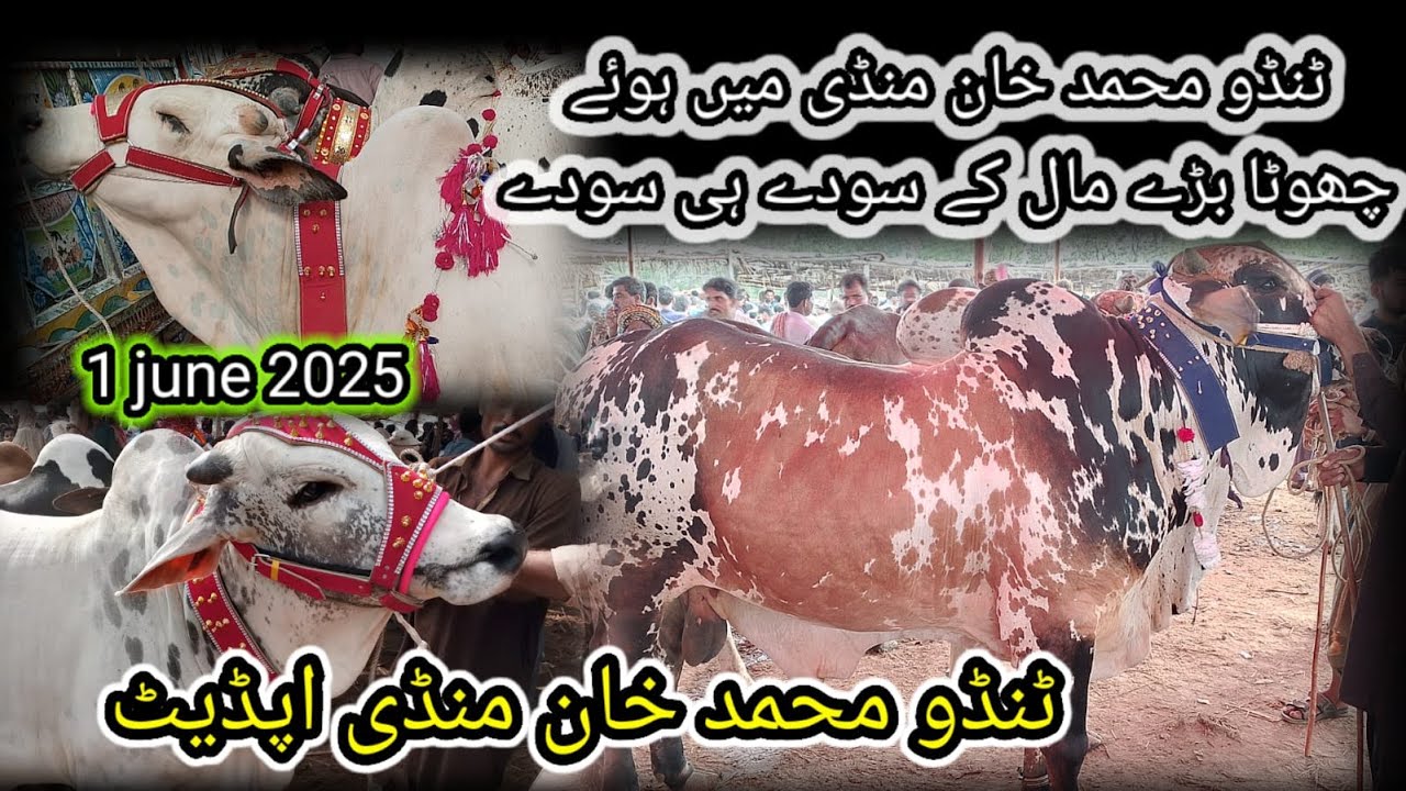 Tando Muhammad Khan Mein Howe Sodey he Soday | Today Mandi Update 1 June 2025