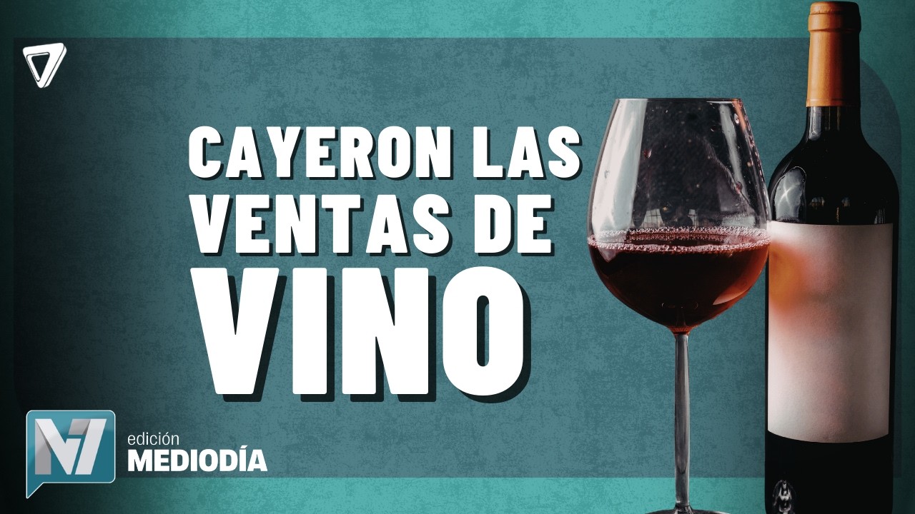 AHORA: las VENTAS del VINO cayeron 30%