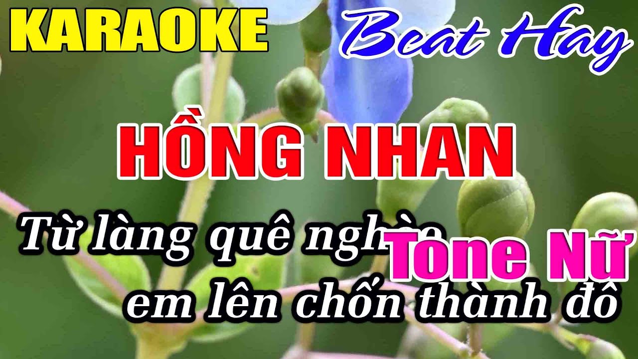 Hồng Nhan Karaoke Tone Nữ Karaoke Hải Nhạc Sống 2026 - Beat Mới