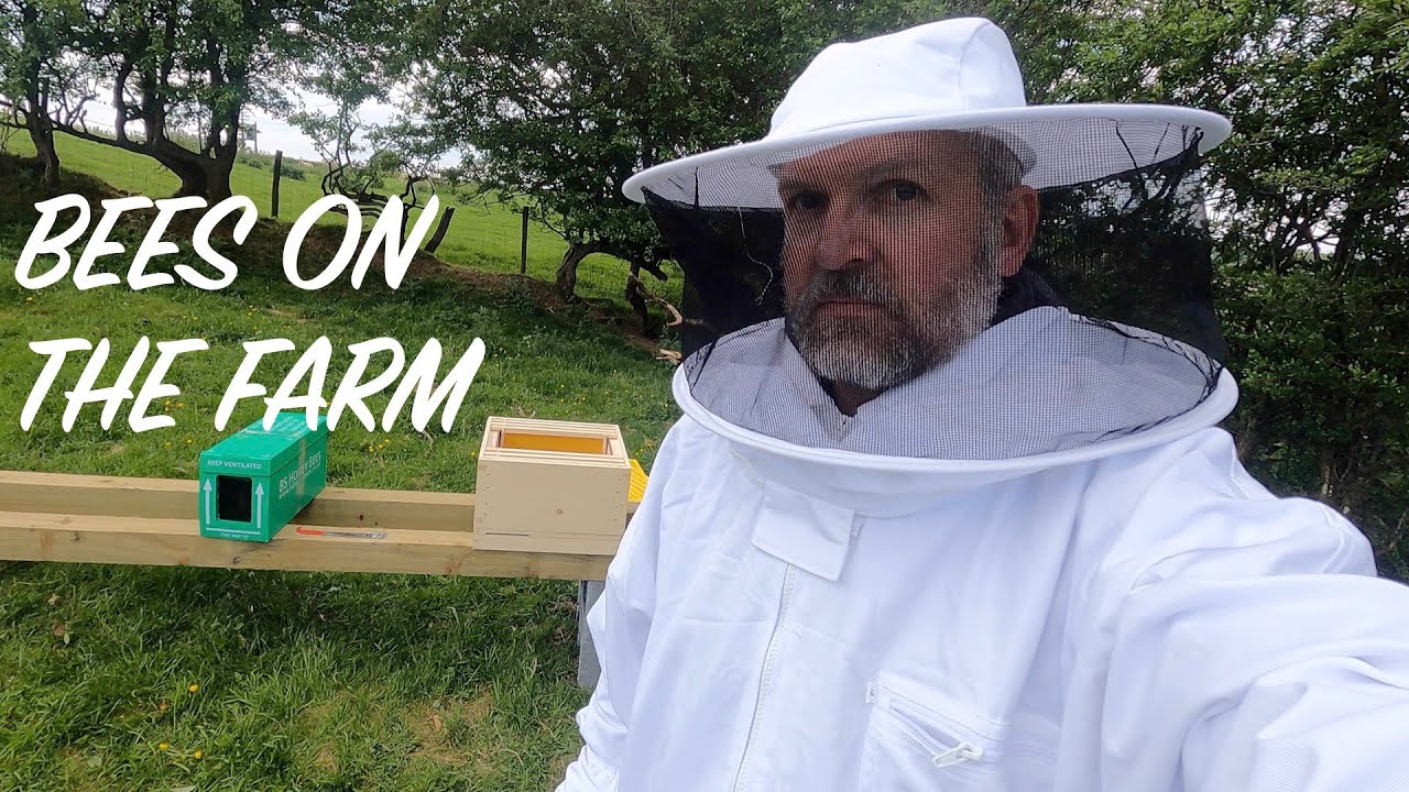 Keeping Buckfast Honey Bees