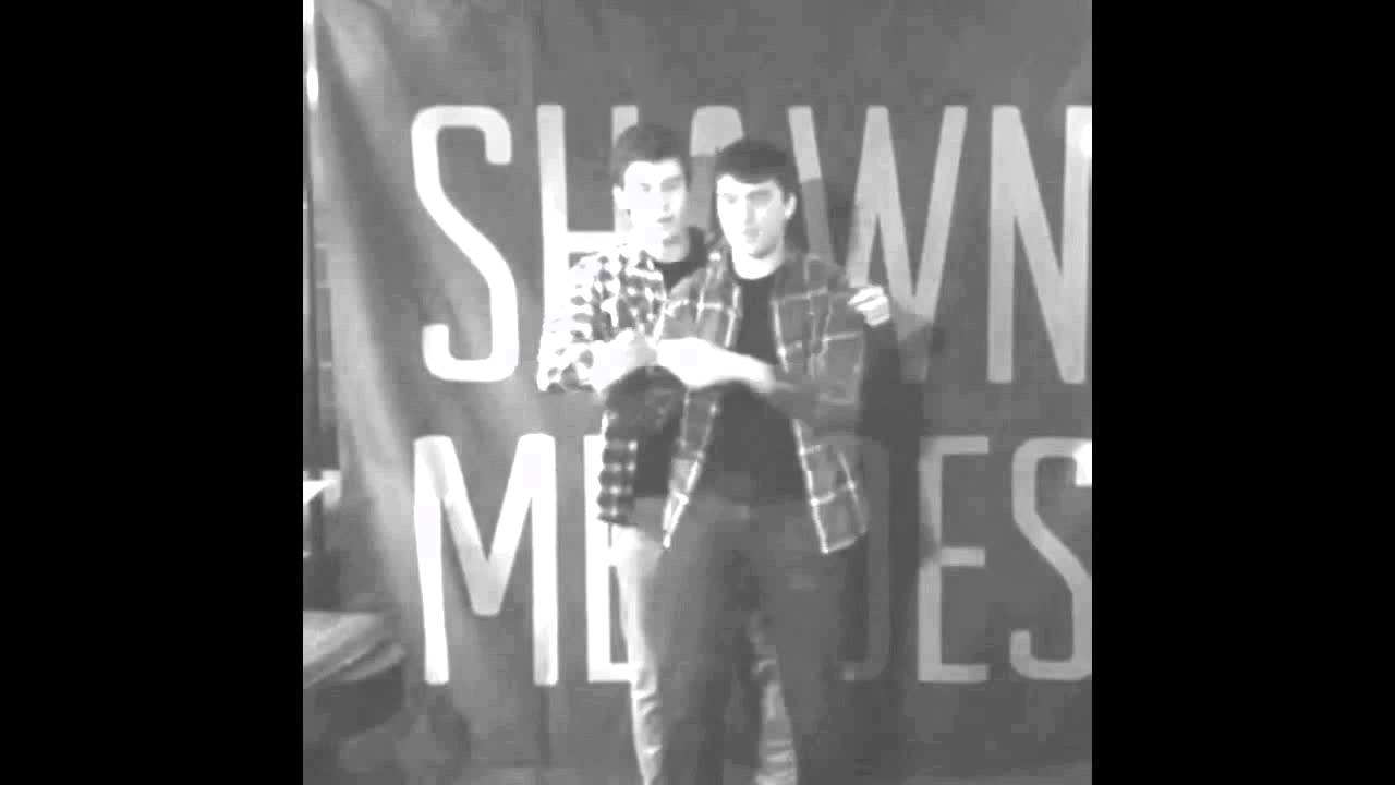 Shawn Mendes - Meet & Greet Goals