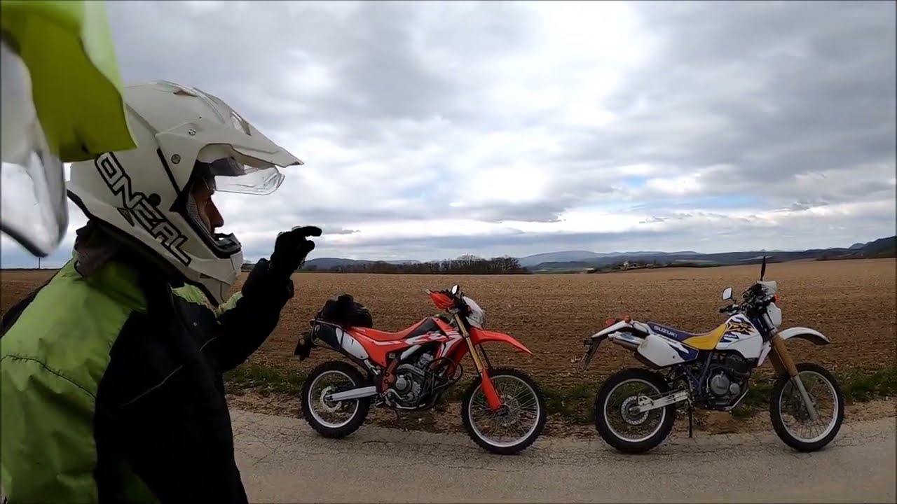 Just a little field trip - Csak egy kis tereptúra