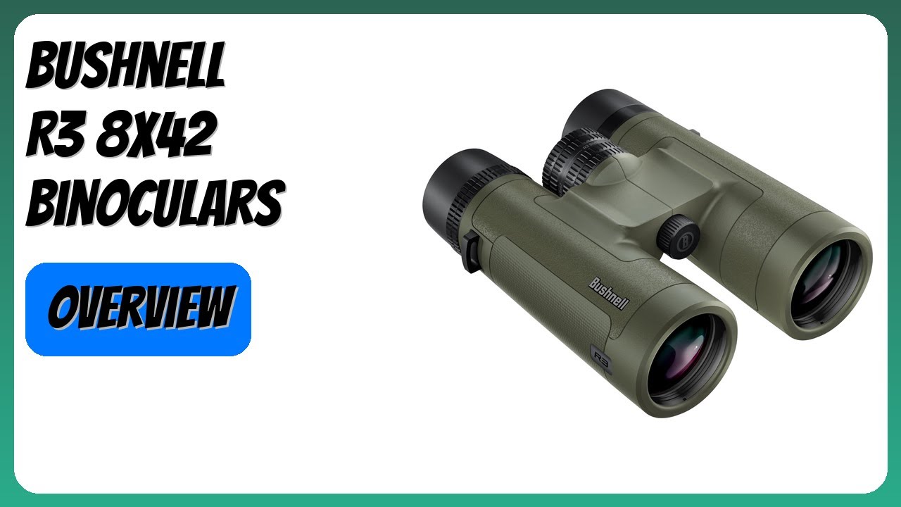 REVIEW (2025): Bushnell R3 8x42 Binoculars. Features