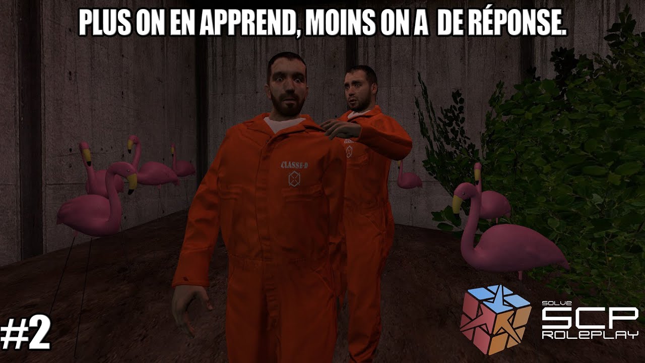 PLUS ON EN APPREND, MOINS ON A DE RÉPONSES - SOLVE SCP RP #2