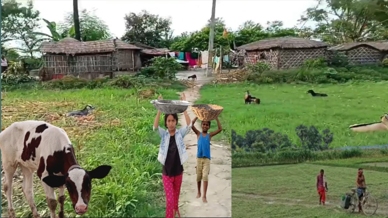 # Rural life in indian bihar village life @village0.55