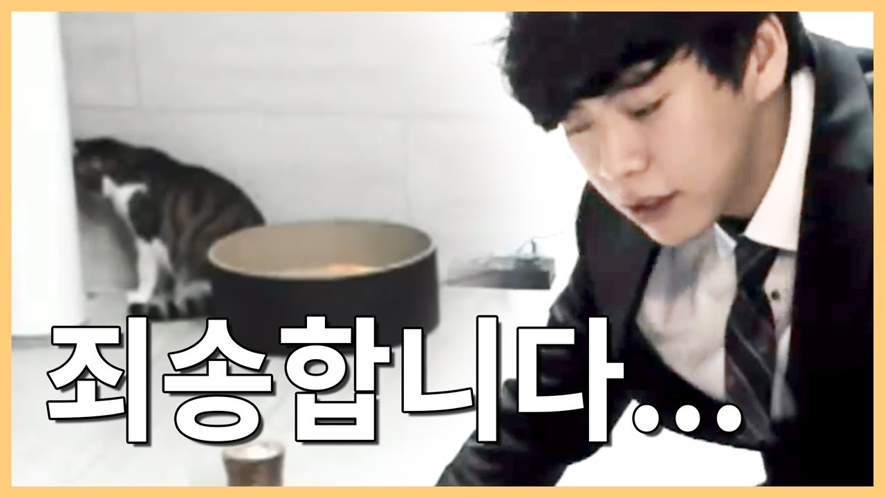 네. 이번에도 정지를 먹었습니다.