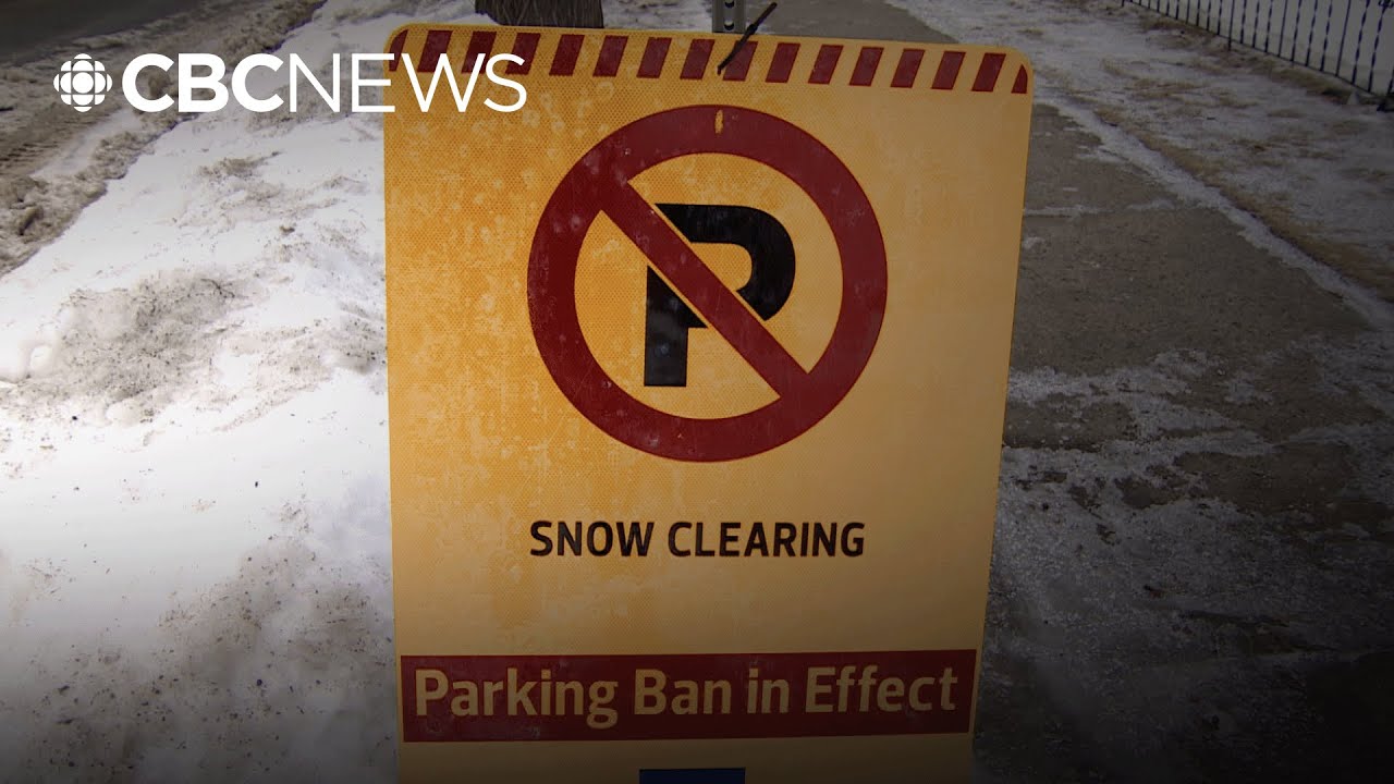 How many Edmonton drivers complied with snow clearing parking bans?