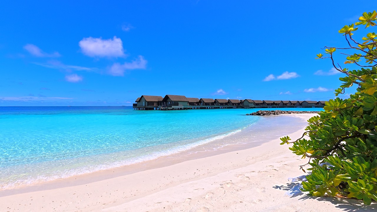 Heaven on Earth 🌴 Maldives & Ocean Waves 4K 60FPS Dolby Vision