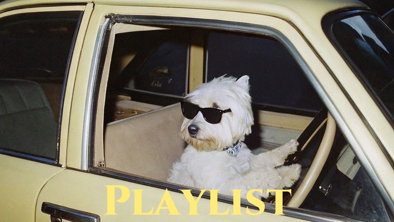 𝐏𝐥𝐚𝐲𝐥𝐢𝐬𝐭 제가 차는 없지만 드라이브 음악은 좀 알거든요🚗