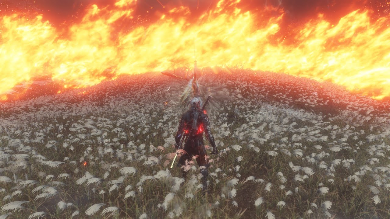 Sekiro Shadows Die Twice - Ultimate Isshin no hit, cldb