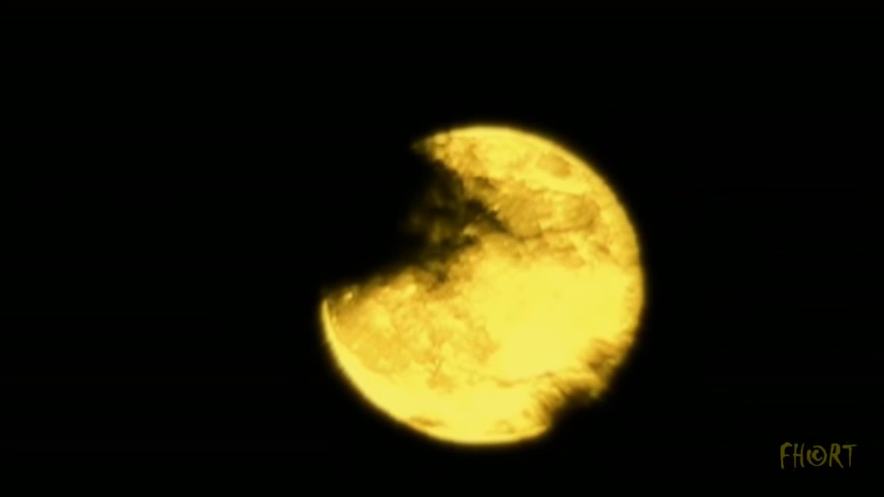 Yellow Moon   Neville Brothers