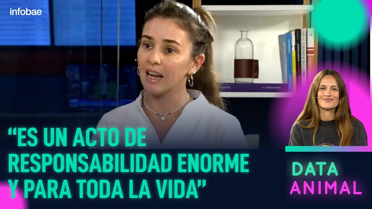 &iquest;En qu&eacute; consiste la adopci&oacute;n responsable de animales? | #DataAnimal