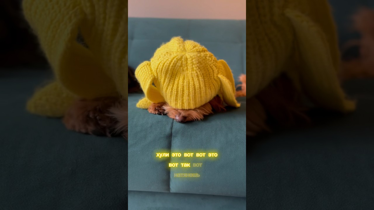 Хули это вот, вот это 😂 