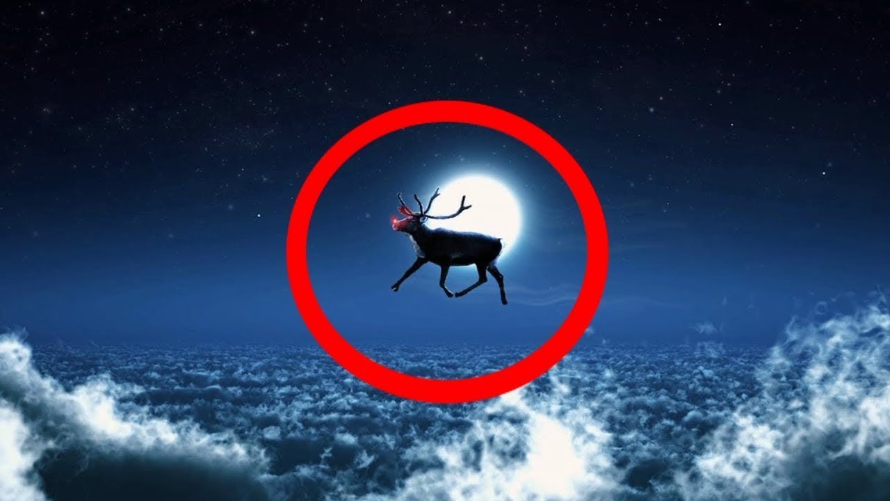 10 Rudolph The Red Nosed Reindeer Caught On Camera & Spotted In Real Life!