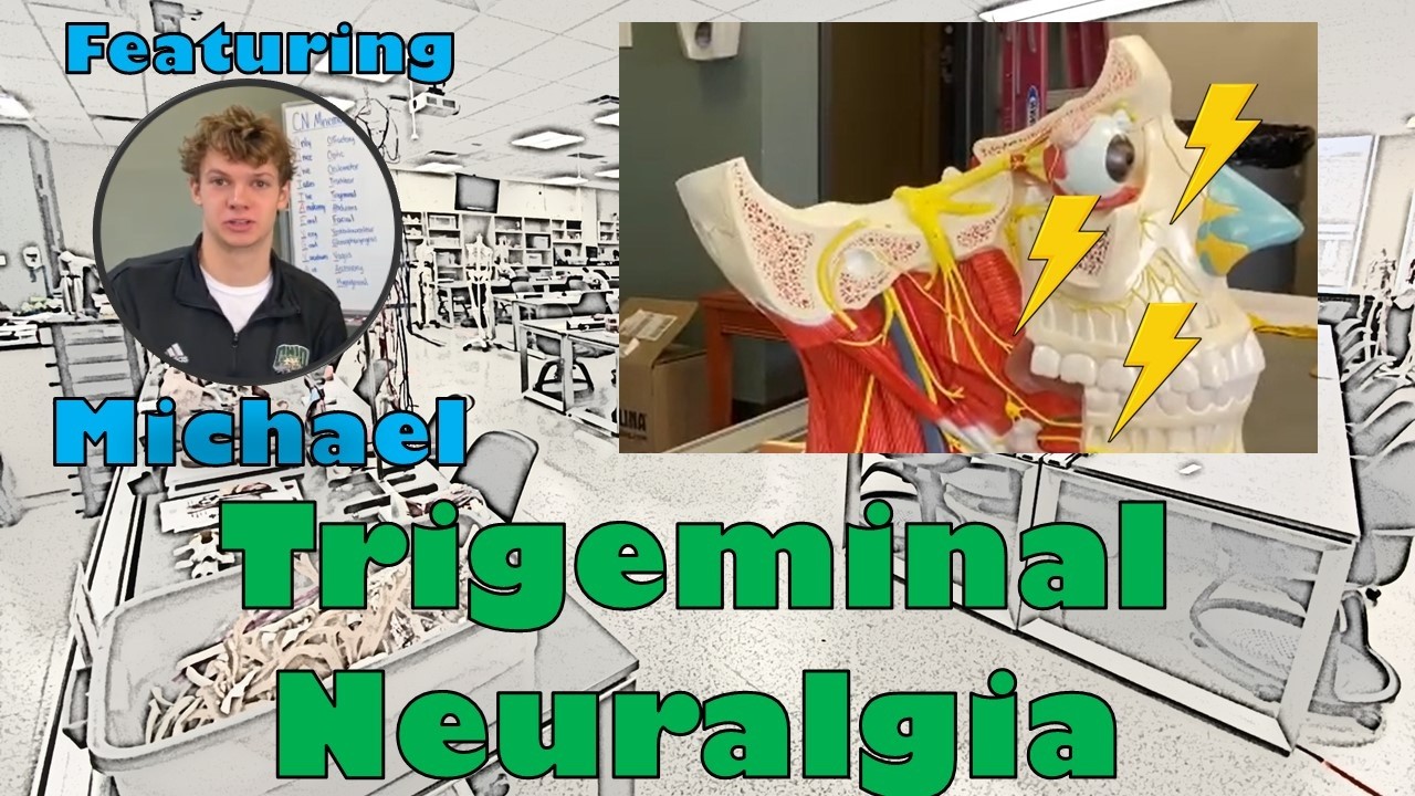 What is Trigeminal Neuralgia? Anatomy TA explains! 