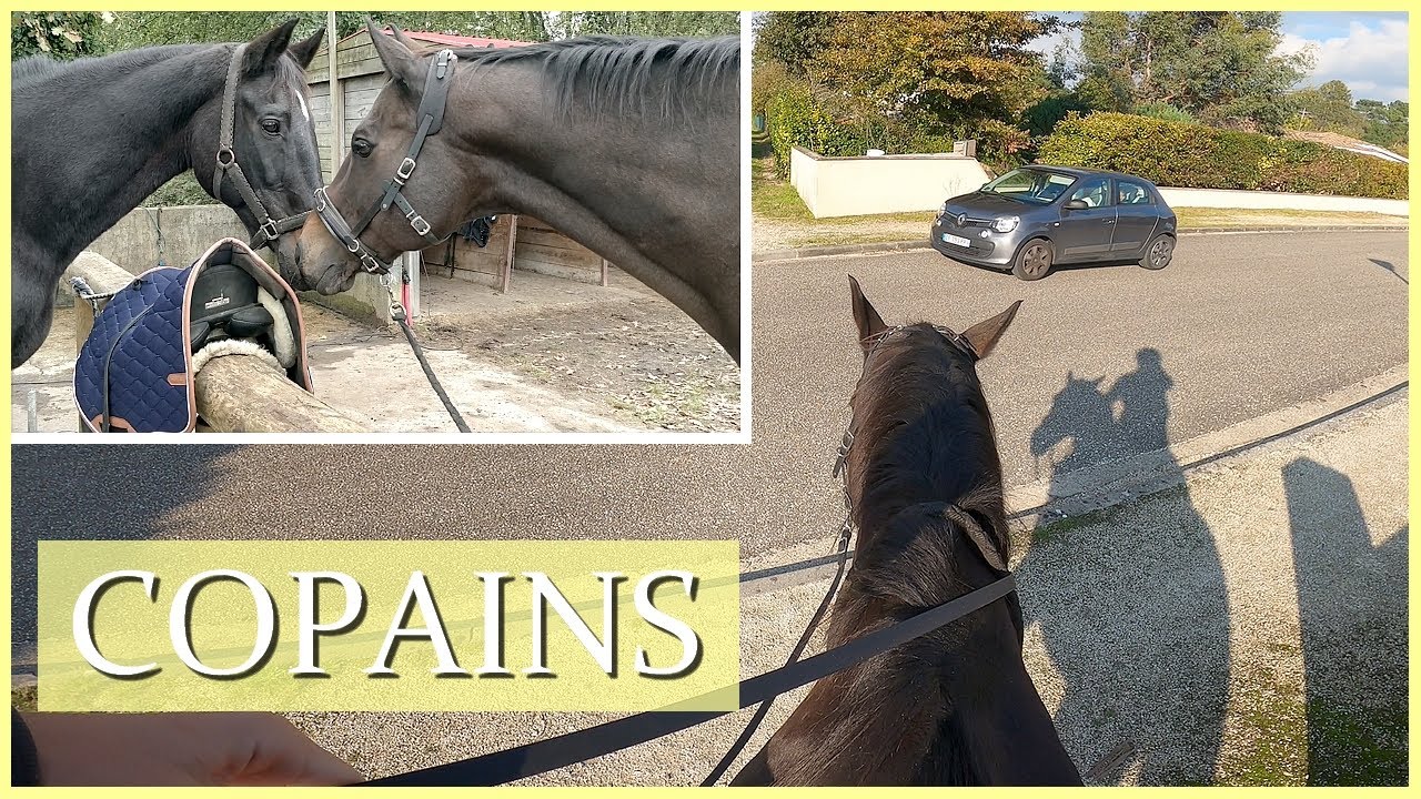 CETTE FOIS CI, JE NE TOMBE PAS !! - Baly retrouve son copain