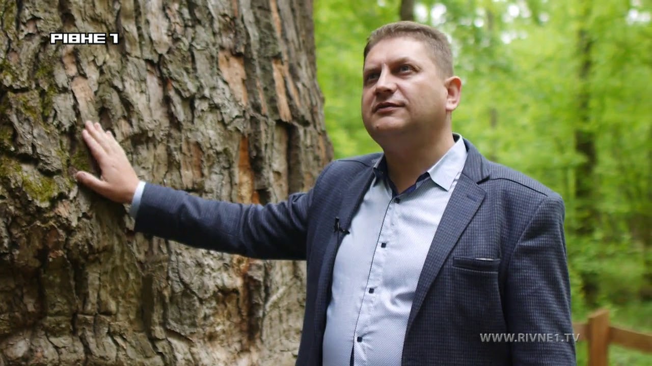 Легенда чи реальність? Юзефінський дуб сприяє багатодітності прилеглих сіл