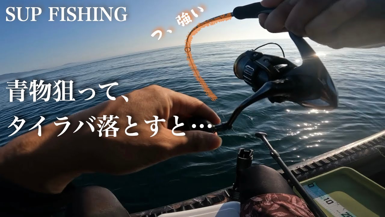 青物狙ってサップフィッシング、諦めずにルアーチェンジすると、最後にいいことが起こります