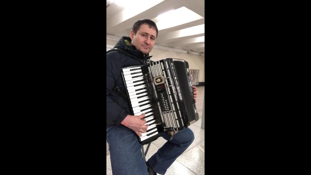 Аккордеонист Юрий Пашалы +79262589113(сбер)