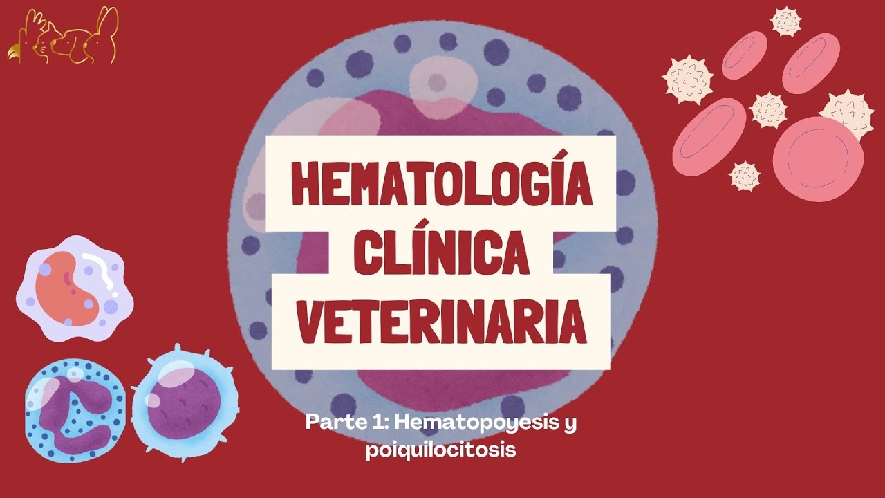 HEMATOLOGIA  VETERINARIA - Parte 1: eritropoyesis y poiquilocitosis