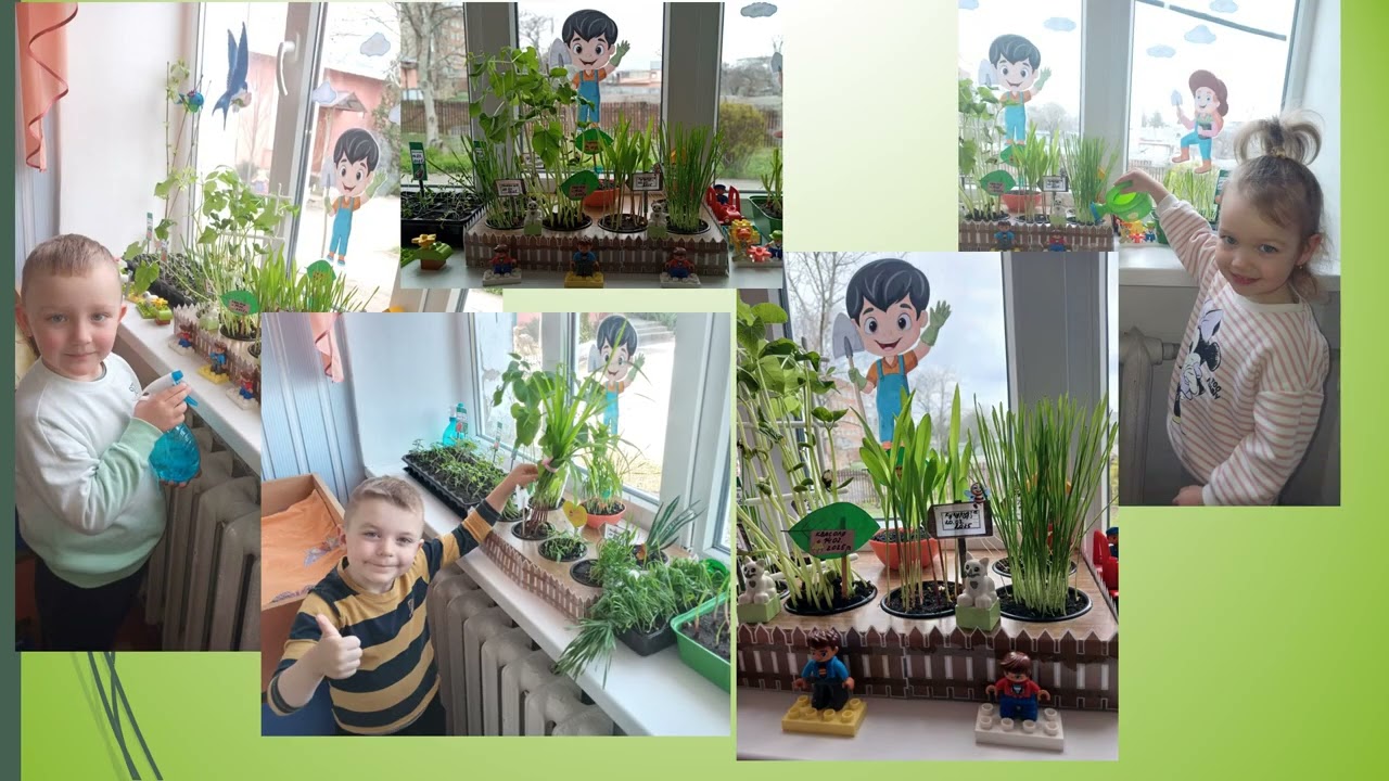 ЗДО №16 Город