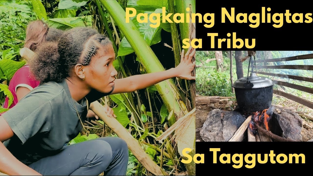 Ligtas Nga Ba? @wildlifejude #wildlifeph #katutubo 
