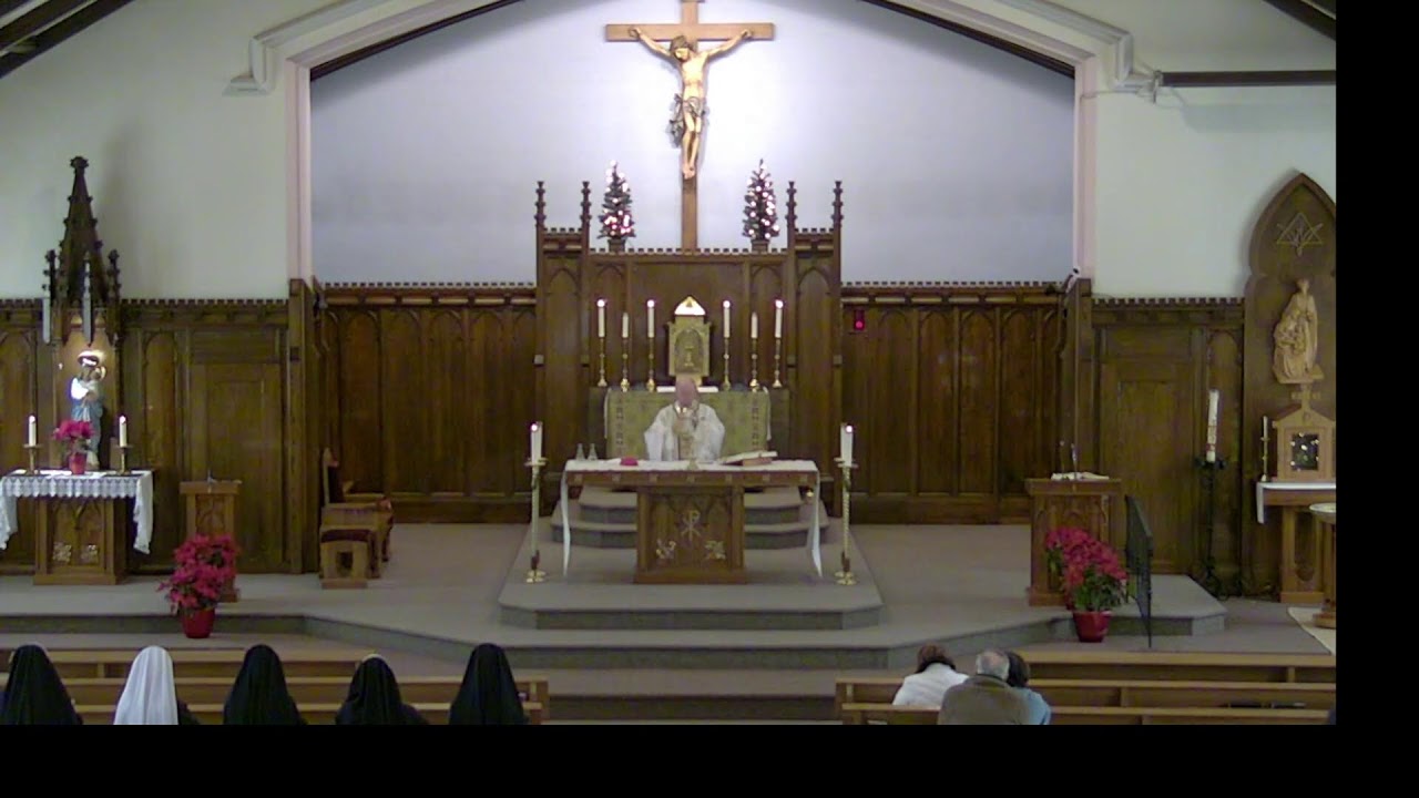 Memorial of Saint Anthony, Mass (17 Jan 2026, 9am)