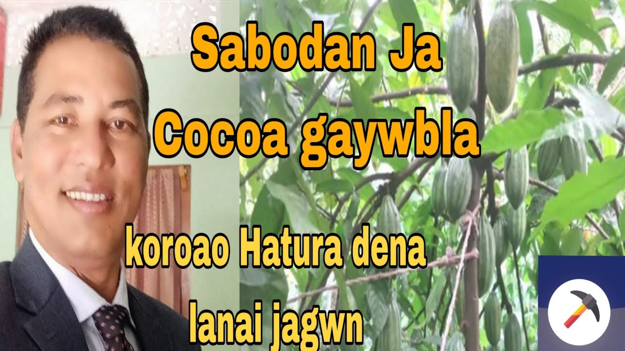 Sabodan Ja Cocoa Abad gaywbla// nongabla koroao Hatura dena lanai jagwn
