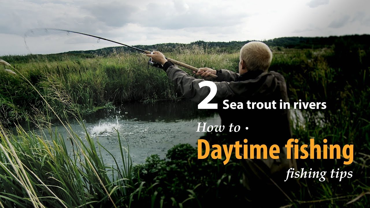 How to •  Daytime fishing • Sea trout in Rivers • fishing tips