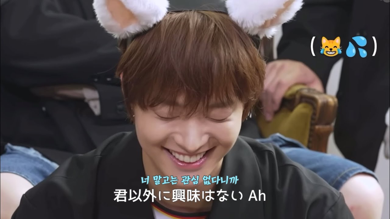 강아지 고양이 말고 늑대는 어때? 아우우우~🐺💕  | &TEAM(앤팀) - オオカミ系男子(Wolf type) 가사 해석