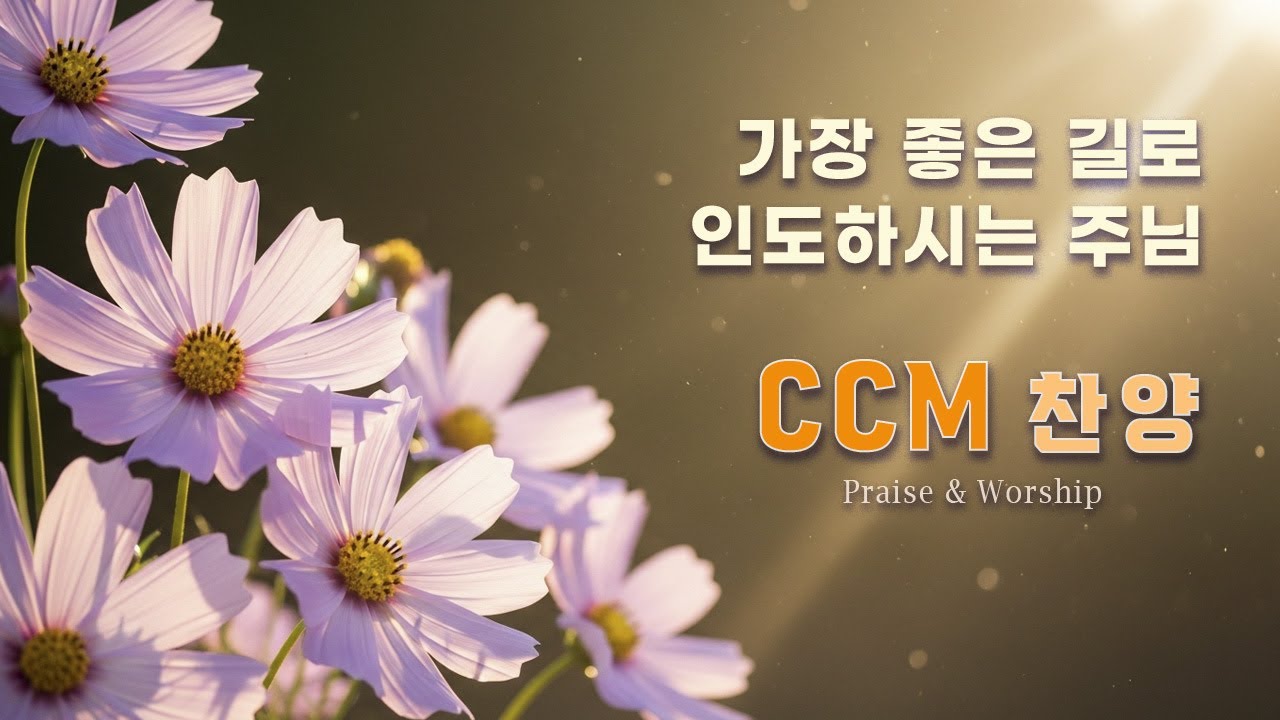 CCM Playlist 🎶 가장 좋은 길로 인도하시는 주님 🌸 (#19) 은혜로운 찬양 | 기도 · 묵상 · 예배 플레이리스트