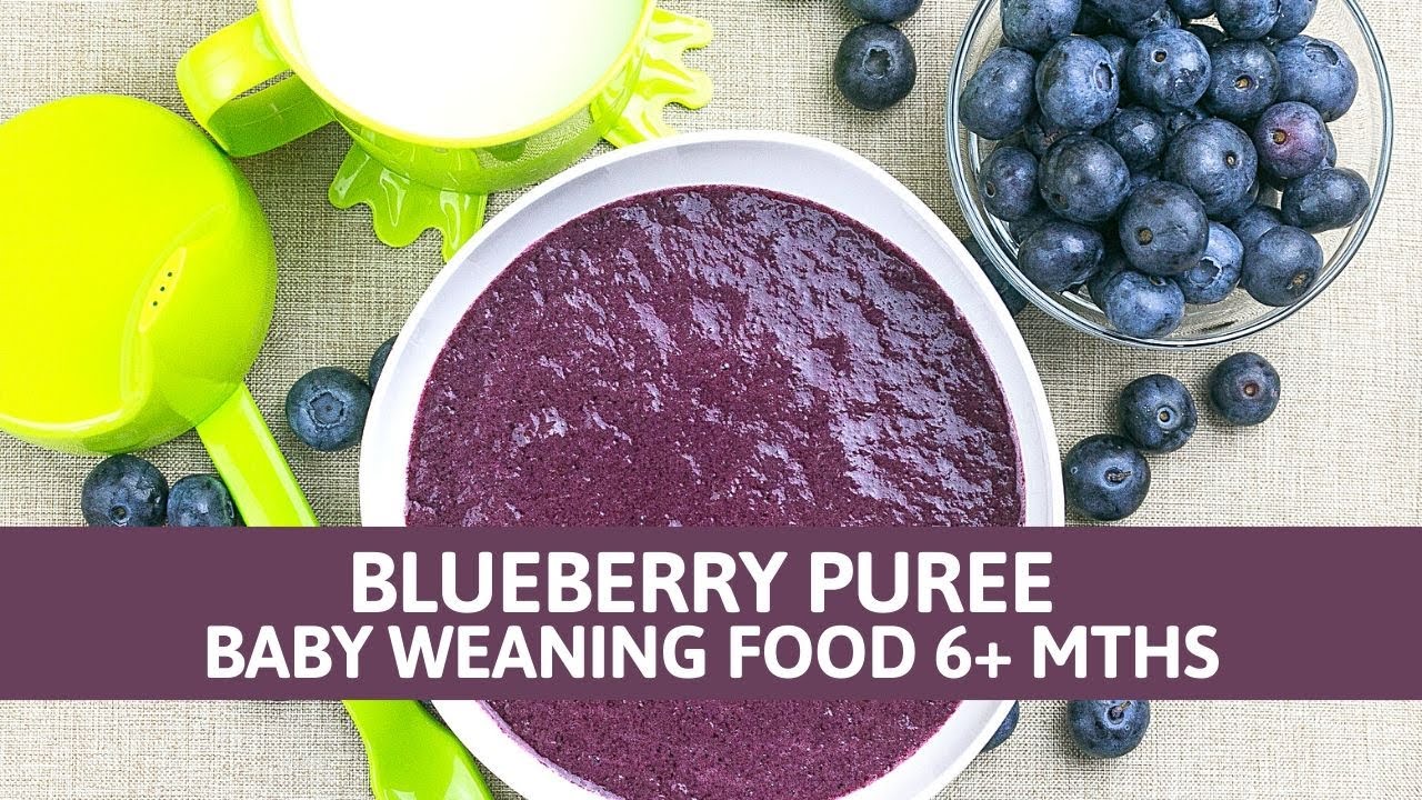 BLUEBERRY PUREE || BABY WEANING FOOD 6+ MTHS