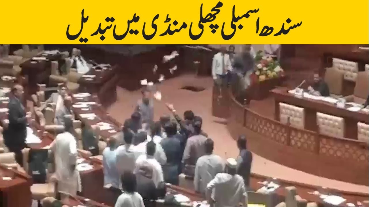 Ruckus in Sindh Assembly | Fight erupts between Firdous Shamim and Imtiaz Sheikh |
