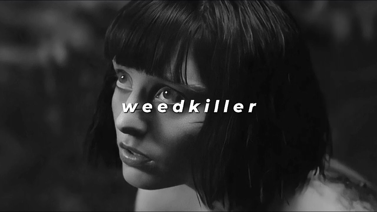 ashnikko - weedkiller (slowed + reverb)
