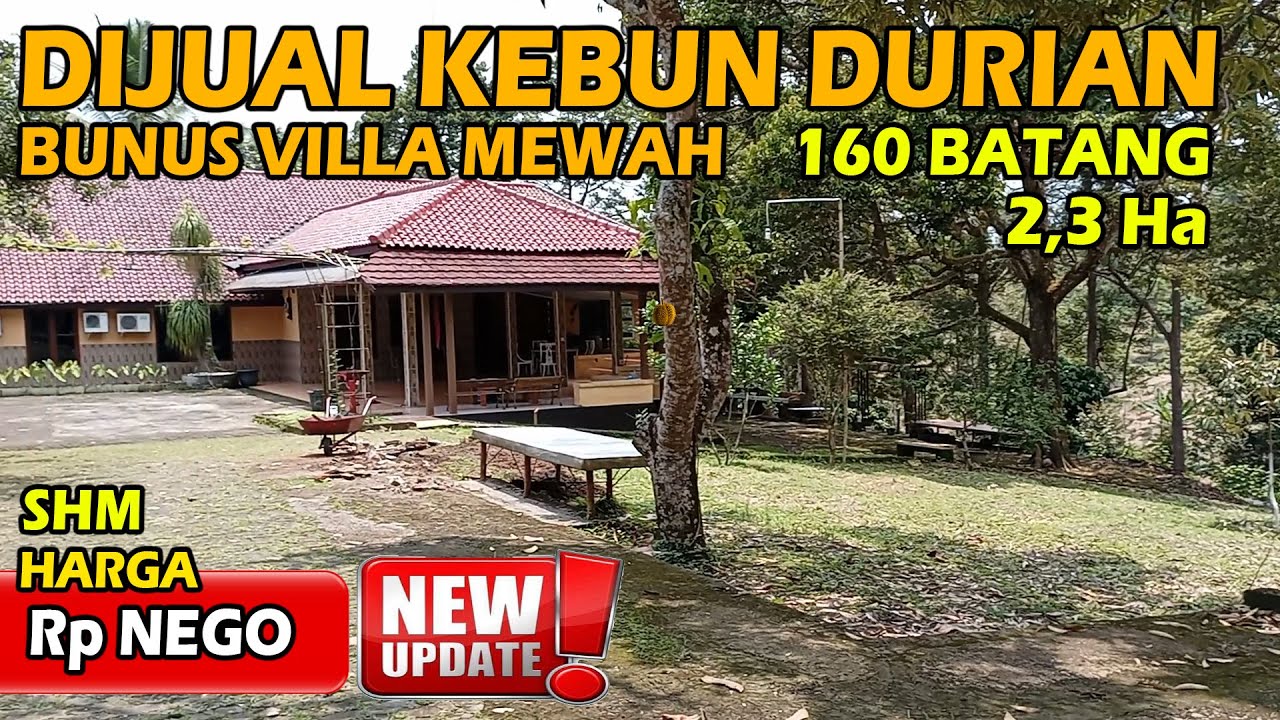 Dijual Kebun Durian 160 Batang BONUS Villa Mewah | 2,3 Ha | ABAH PROPERTI