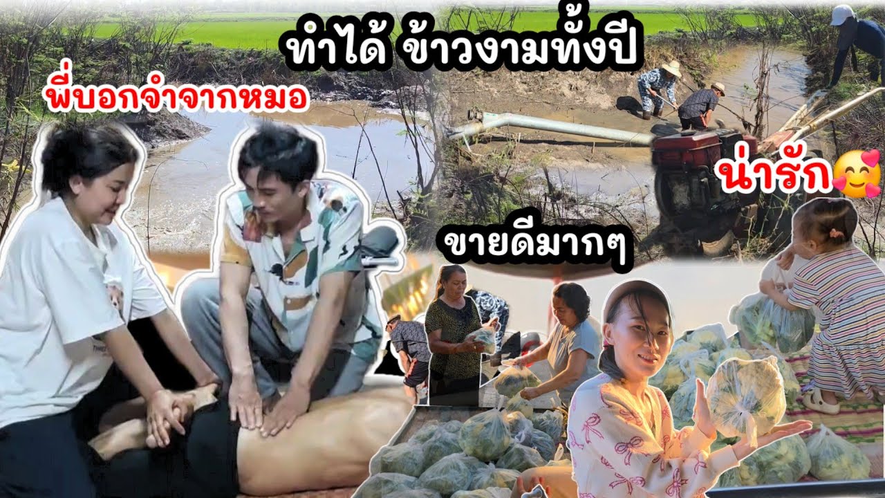 EP.157ขี่สามล้อขายผักทั่วหมู่บ้าน เมื่อนวดหลังให้พ่อถึงกลับหลับ และทำแบบนี้ได้ข้าวงามทั้งปี(วิธีแม่)