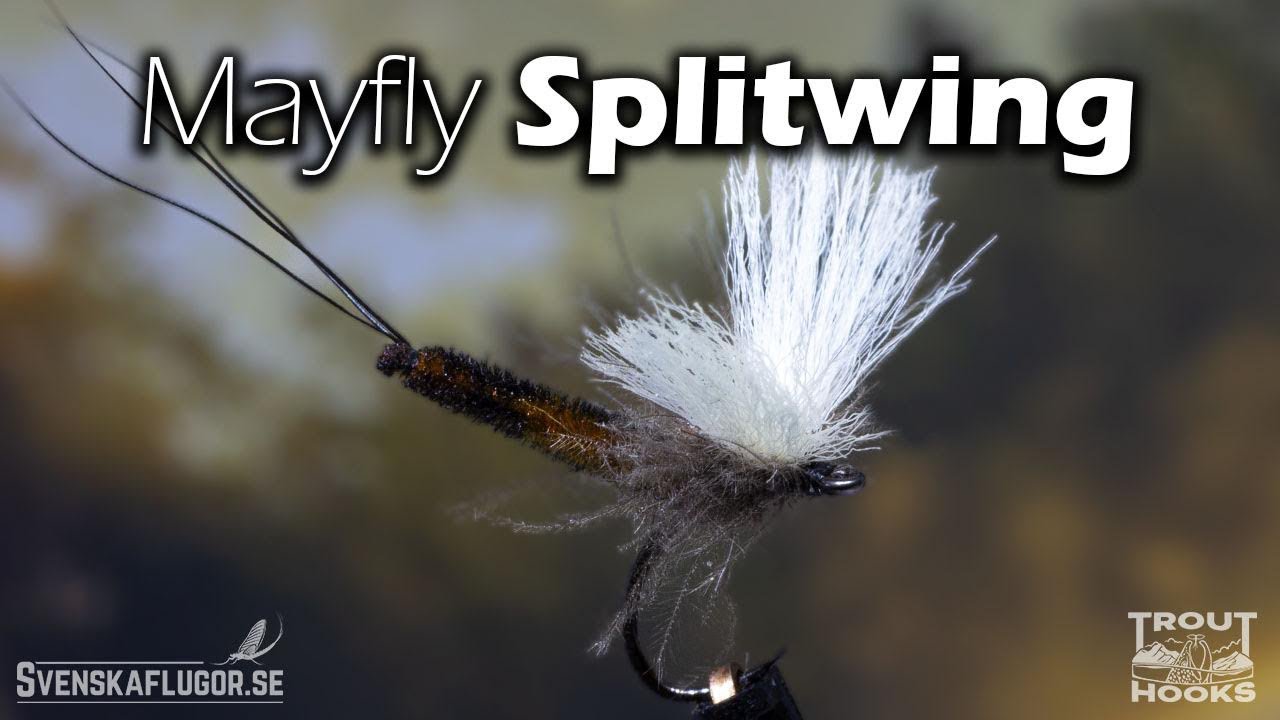 Mayfly Splitwing | Flugbindning | Svenskaflugor.se