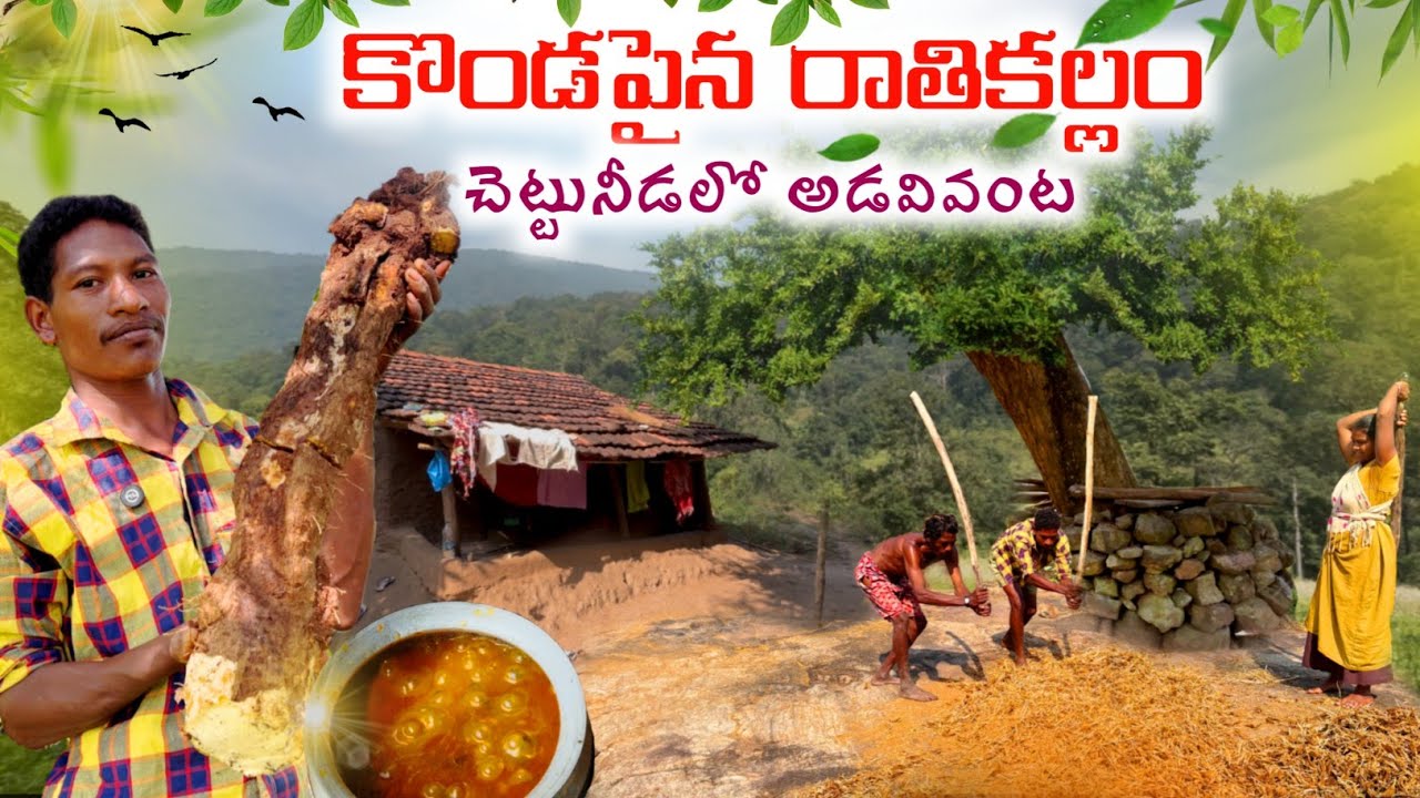Kuvi TRIBES on Hilltop:కొండపైన`రాతికల్లం’ చెట్టుకింద వంట// గిరిబిడ్డల అడవి బ్రతుకు @TribalMirror 